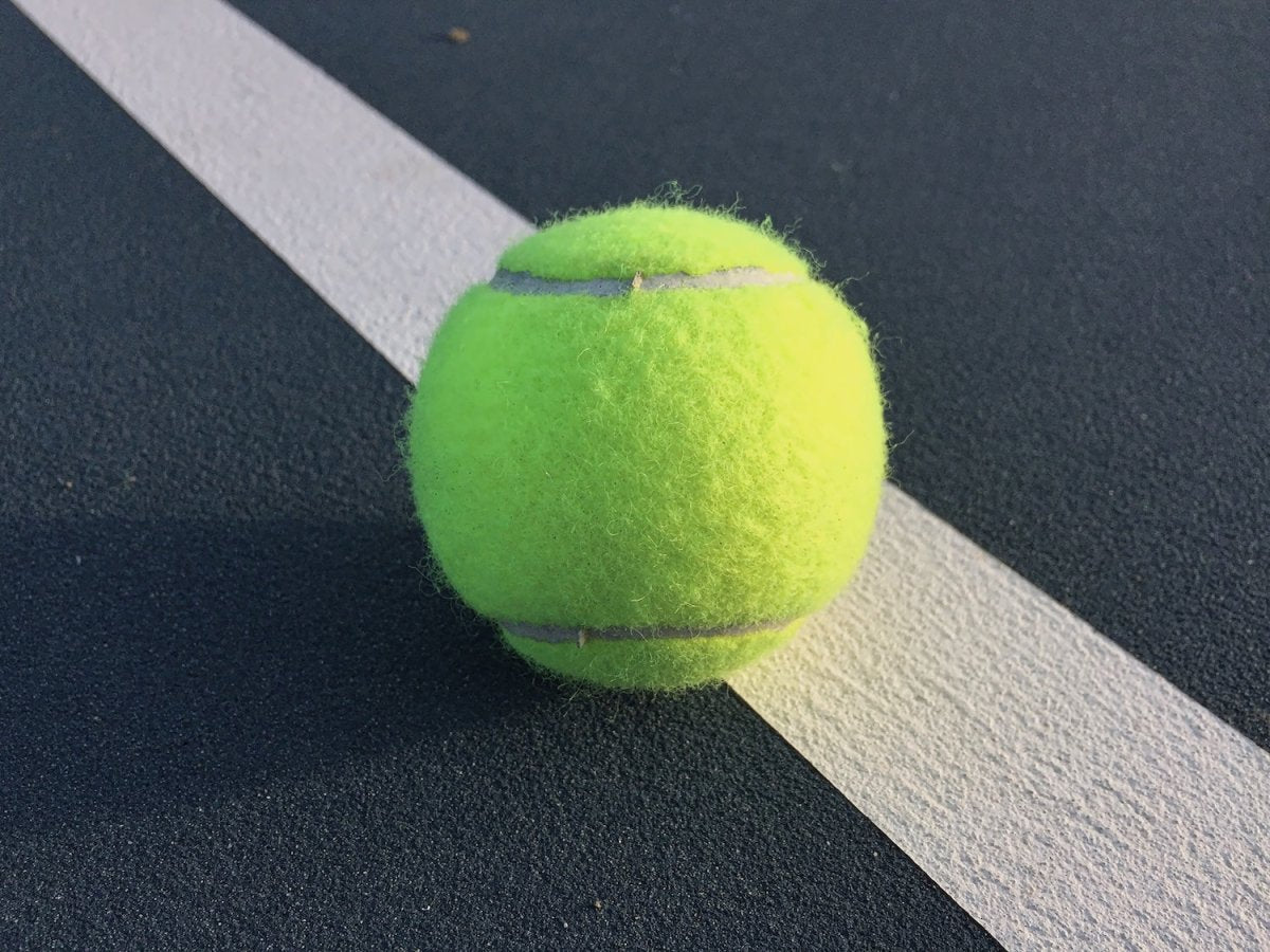 Stockholm Open: Tommy Paul and Grigor Dimitrov to Battle in Finals - Racquet Point