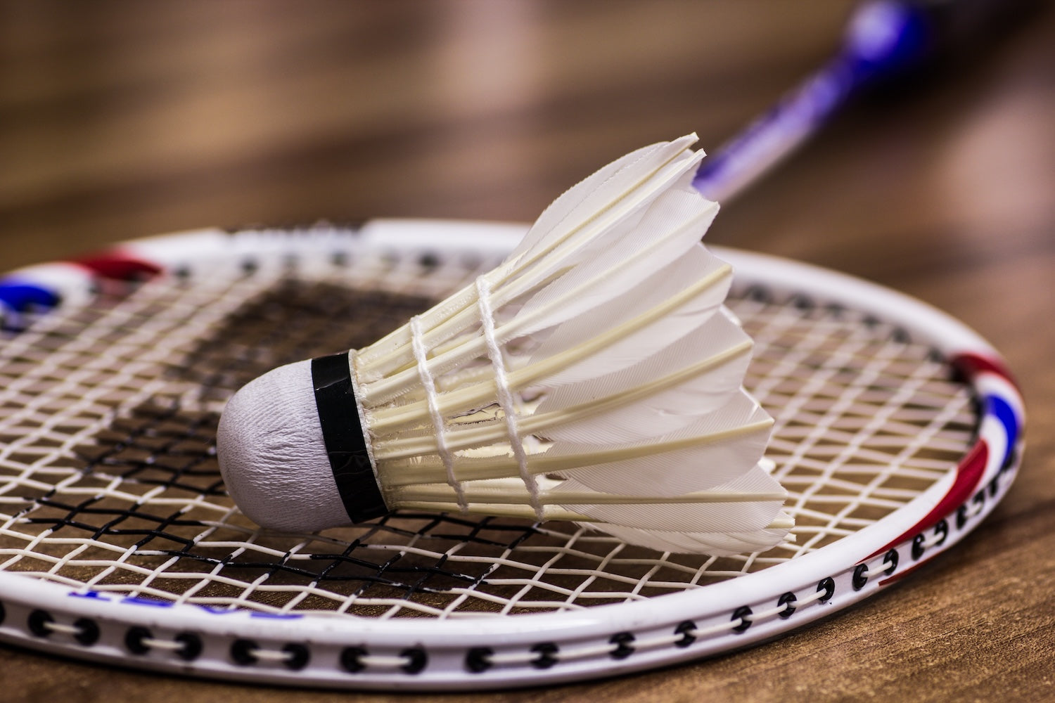 Racquet sports Equipment